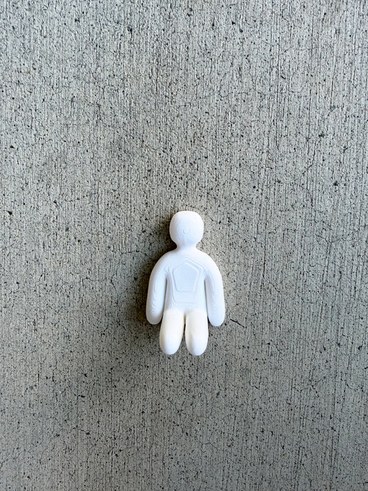 Meecha Chameleon Magnets