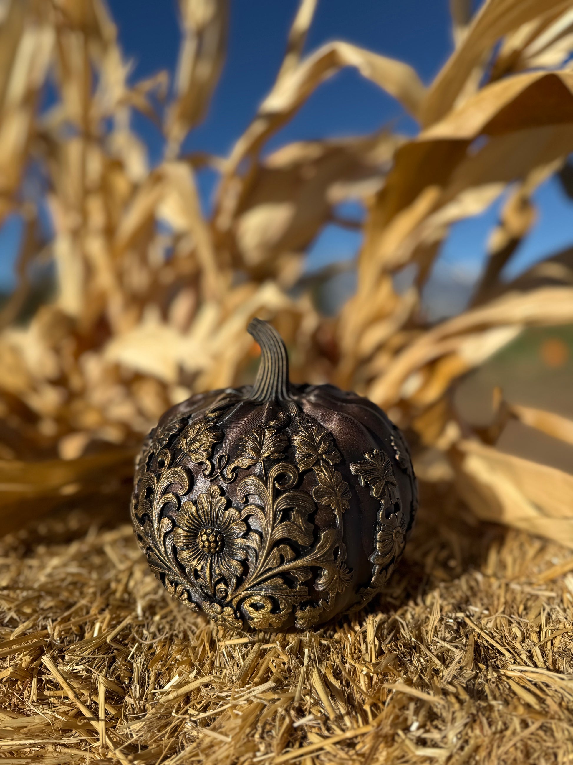 Ornamental Pumpkins