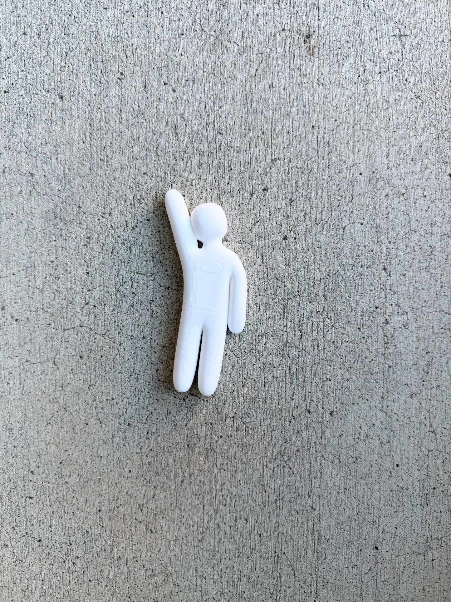 Meecha Chameleon Magnets