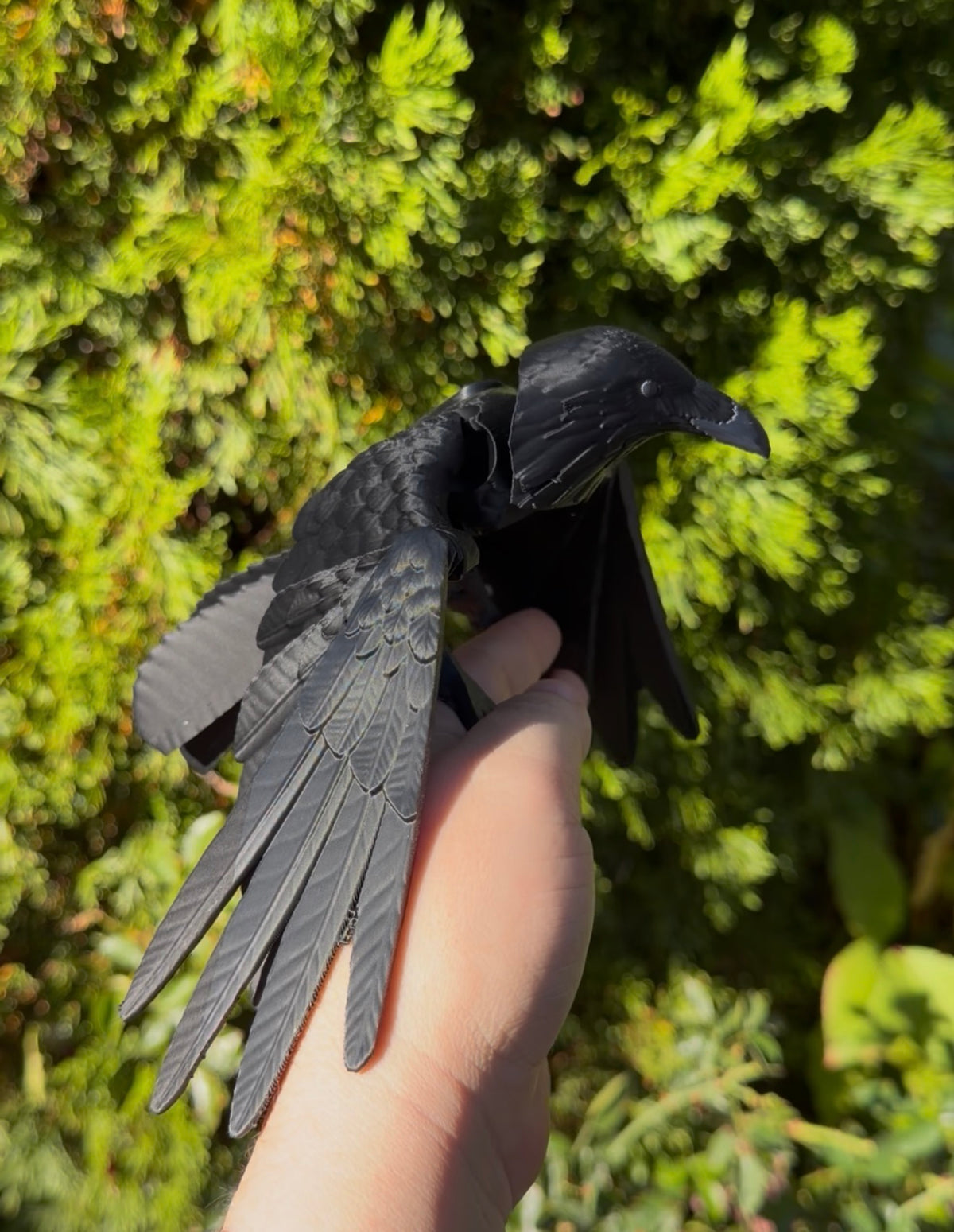 Articulated Raven