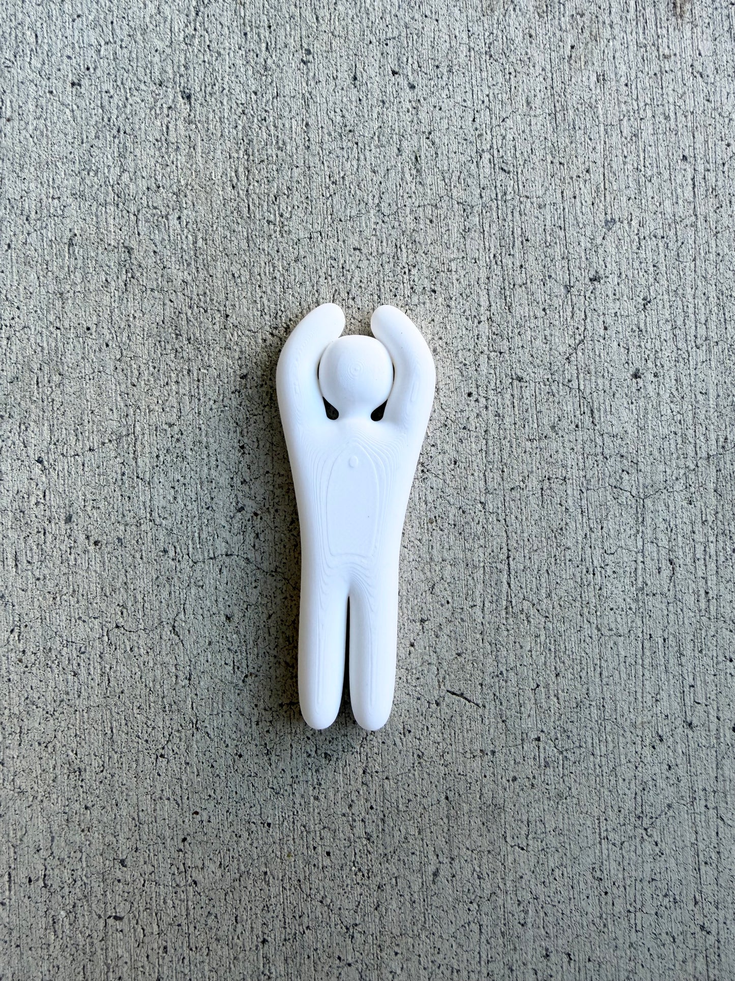 Meecha Chameleon Magnets