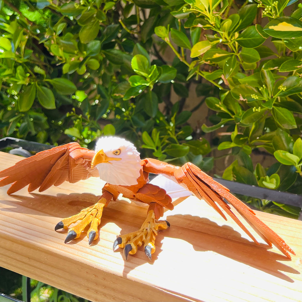Articulated Eagle