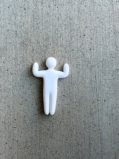 Meecha Chameleon Magnets