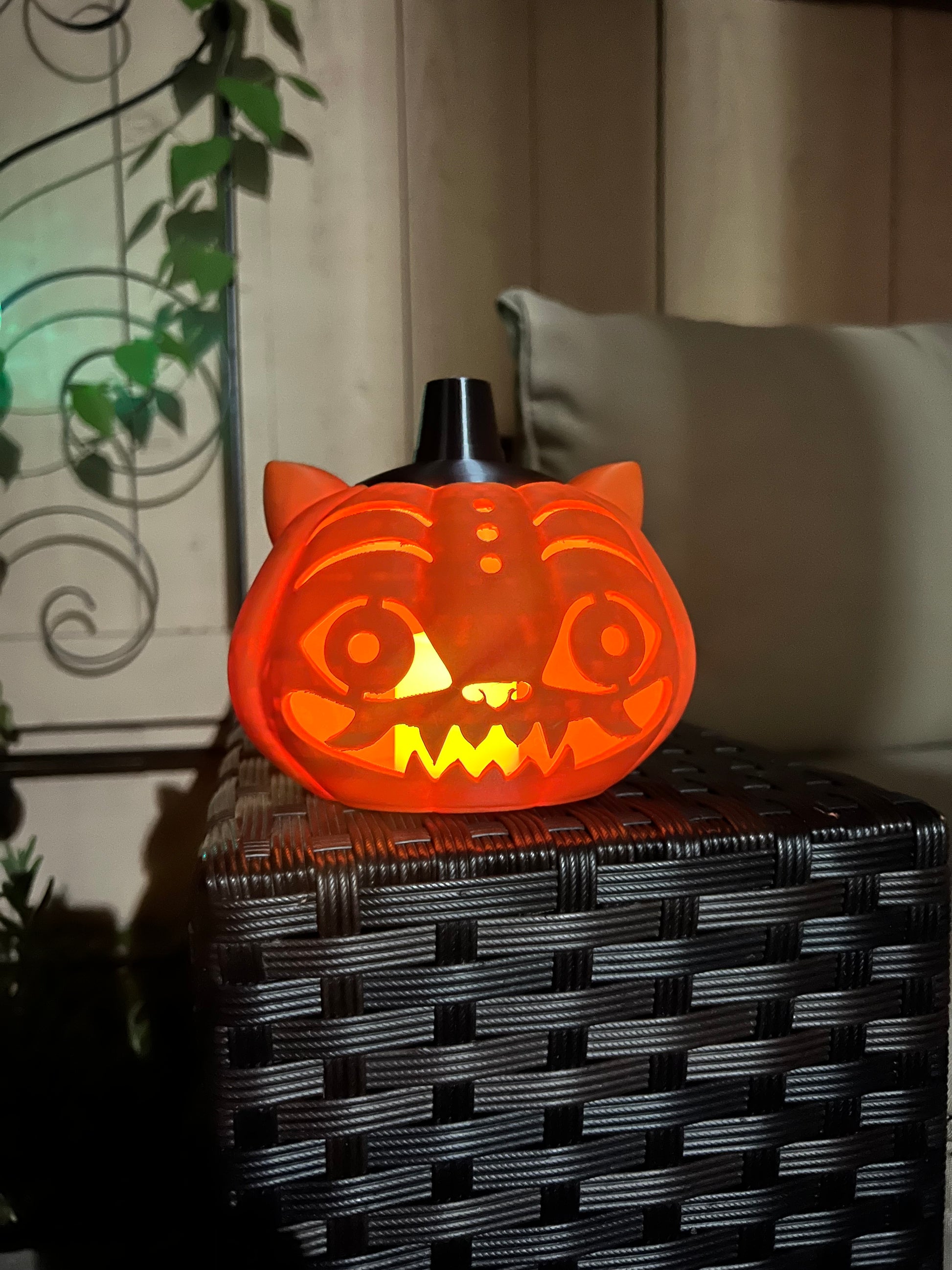 Derpy Pumpkin (no light included)