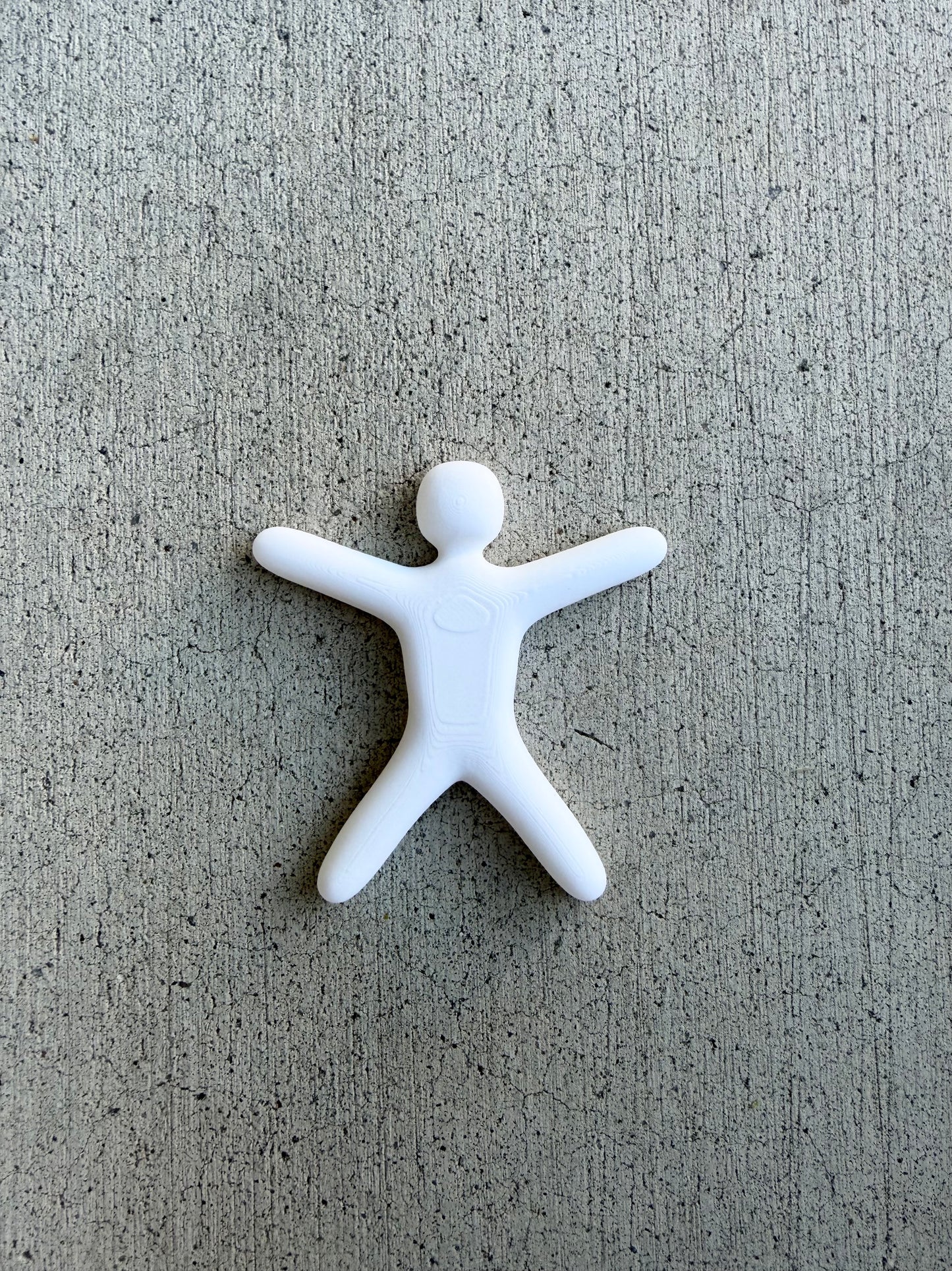 Meecha Chameleon Magnets