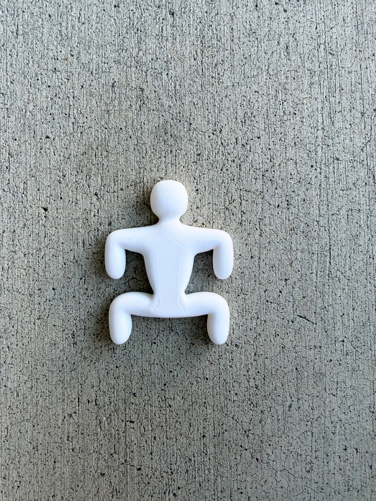 Meecha Chameleon Magnets