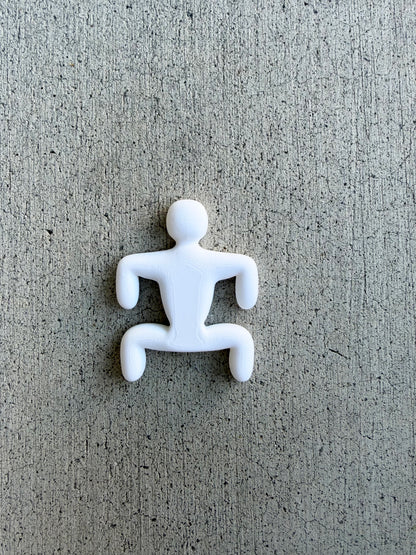 Meecha Chameleon Magnets