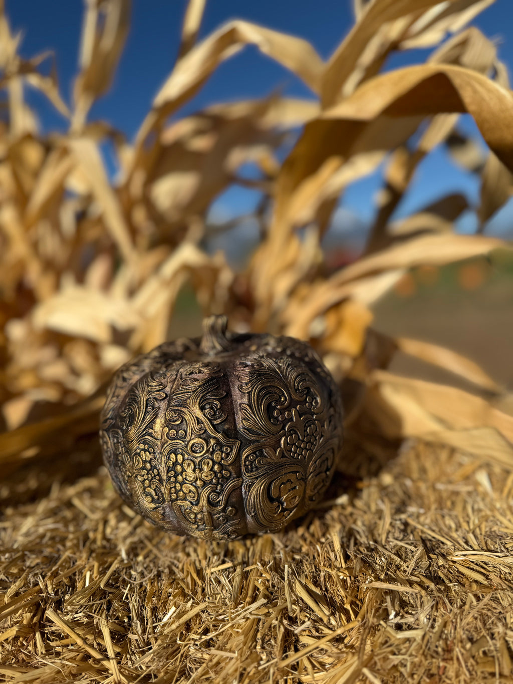 Ornamental Pumpkins