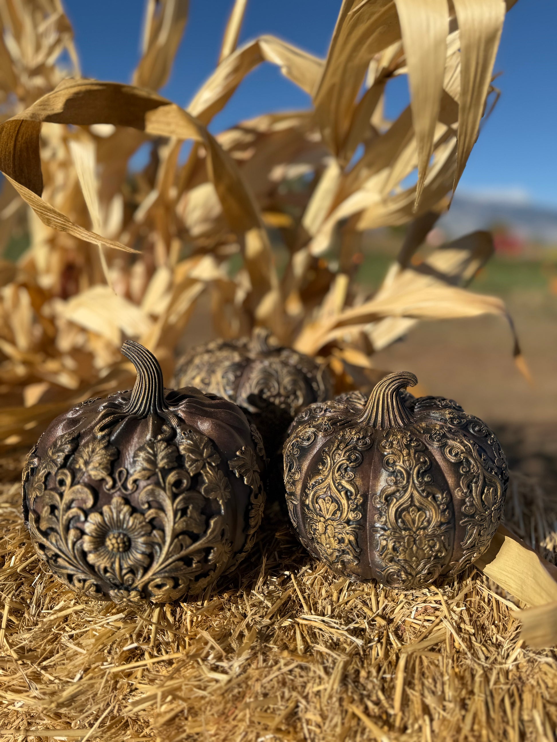 Ornamental Pumpkins
