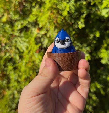 Clicky Blue Jay in Nest
